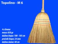 topolinom6_small.jpg