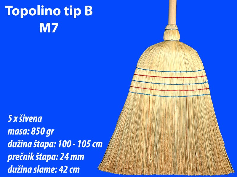 topolinotipbm7.jpg